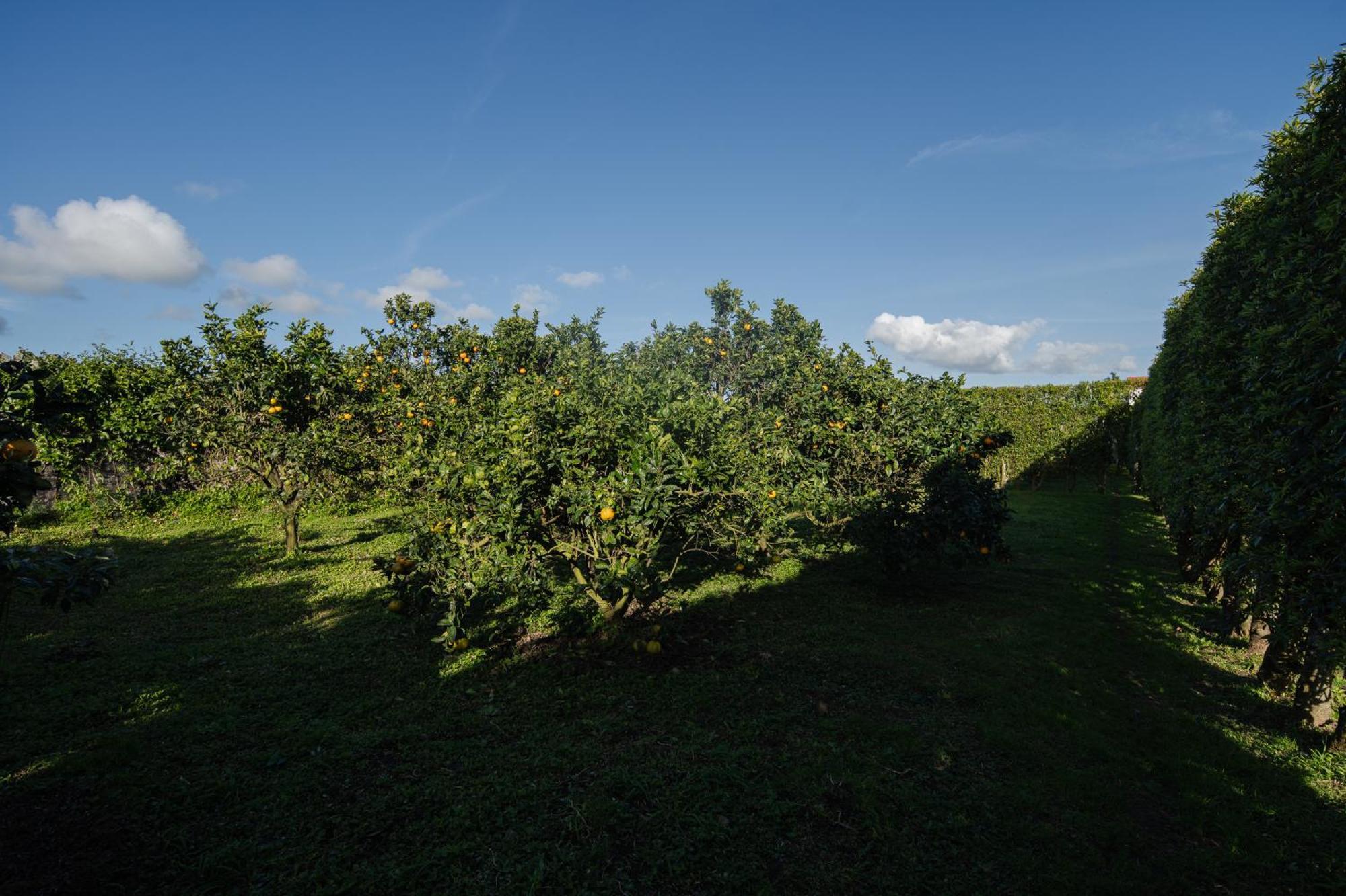 蓬塔德尔加达Quinta Do Ferreiro别墅 外观 照片